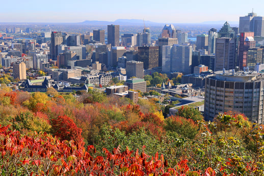 Montreal view from Belvedere Mount Royal