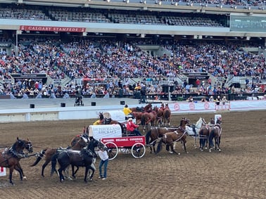 Calgary-Stampede-2024