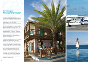 NSB_Brochure_Capture2.png
