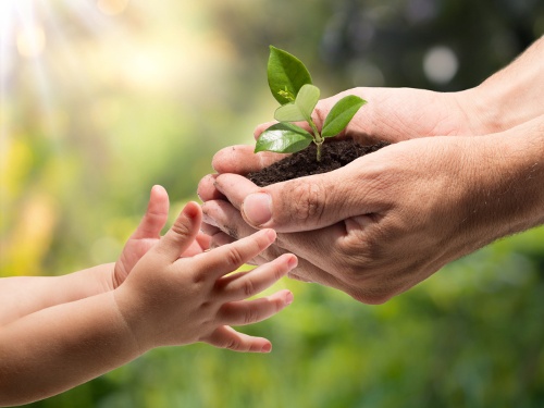 Father_and_Child_planting_-_TIMC.jpg