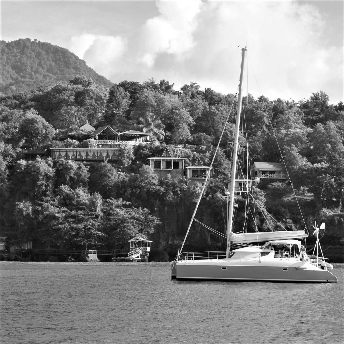 Dominica Island BW