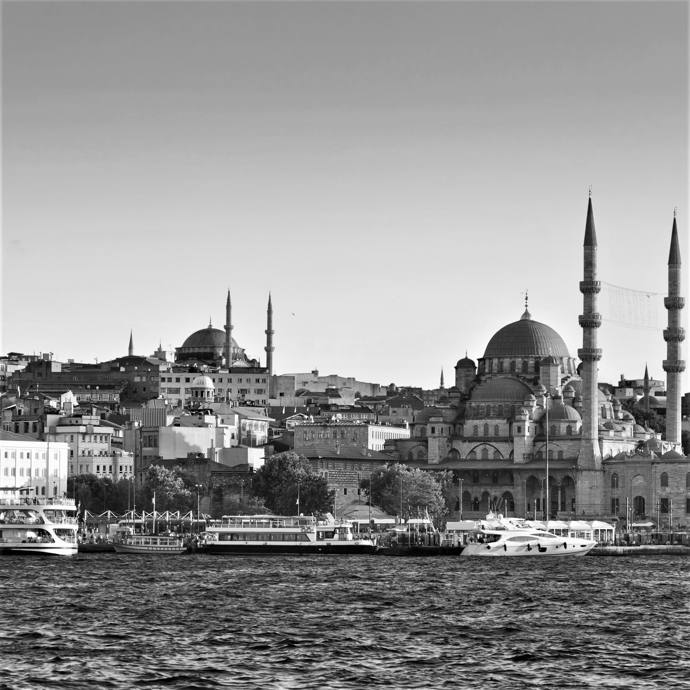 Turkey BW